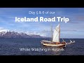 Iceland Road Trip Day 5 &amp; 6: Whale Watching in Husavik