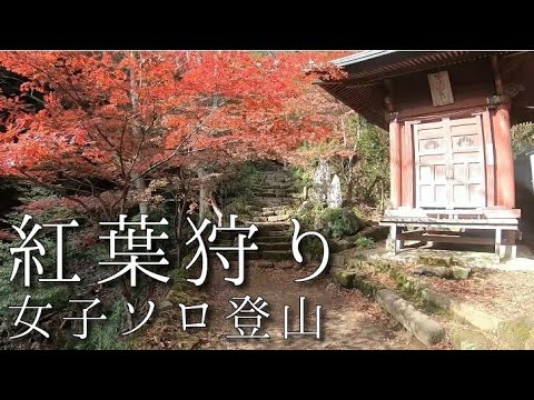 【ASMR】小声で実況/紅葉狩り【声アリ】