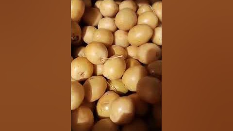 Fresh dates fruit #trending #viral #fruits #video #yummy #sweet #ytshorts #short