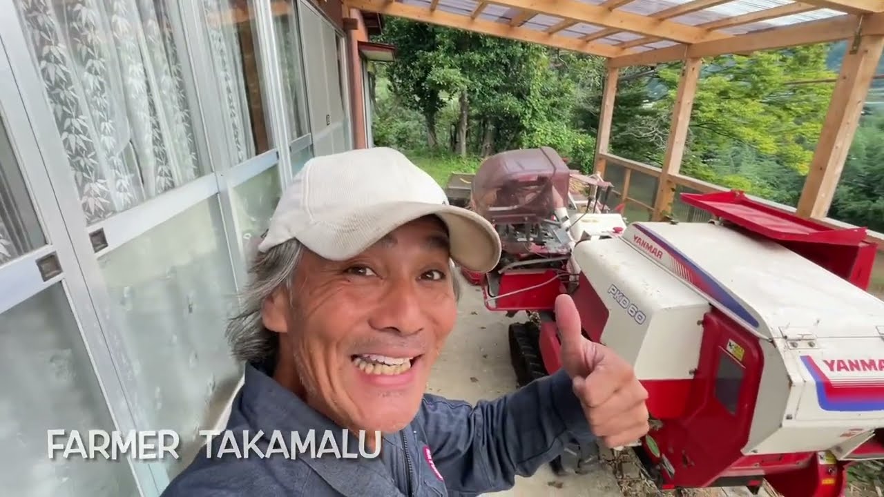 手刈りして掛け干しした稲を脱穀🌾あやして精米したての新米をお届けしま〜す✨