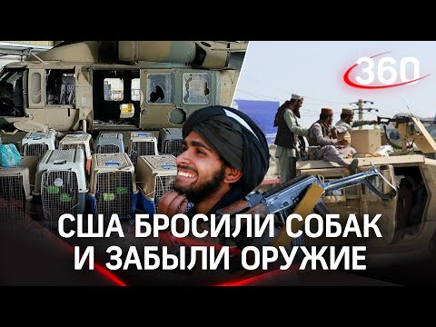 США бросили умирать в клетках служебных собак и оставили талибам* вооружений на $85 млрд