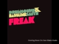 Miniature de la vidéo de la chanson Freak (Crissy Criss Drumstep Remix)