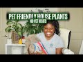 Pet Friendly Indoor House Plants!