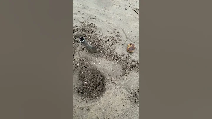 Unveiling A Stunning Gold Ring - My First Beach Metal Detecting Adventure In 2024