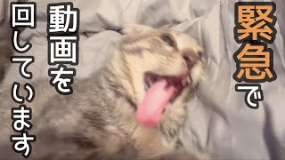 大変ジョーちゃん大丈夫