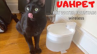 UAHPET wireless pet water fountain by Ziggy And Zelda 1,756 views 1 year ago 5 minutes, 23 seconds