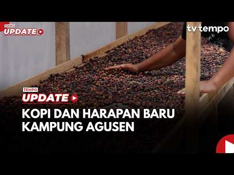 How the People of Kampung Agusen Bounced Back from Floods Through Coffee Farming