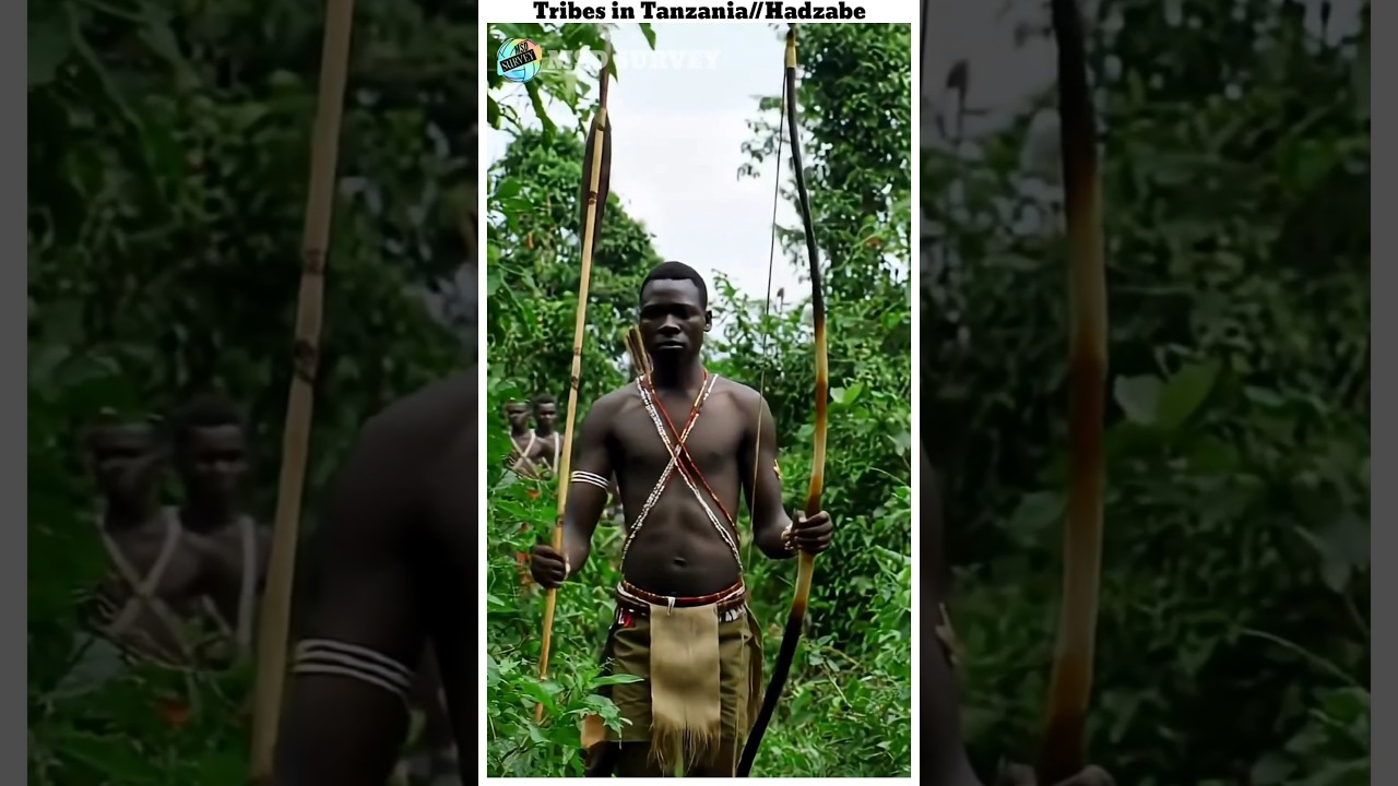 Tribes in Tanzania //Hadzabe//MSD survey 