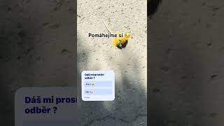 #czech #sad #subscribe #podpora #odber #1k #kids #roblox #minecraft #spring