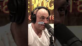 Magnus Carlsens Parents Brainwashed Him Away From Video Games Jre Asks If He Plays Other Games
