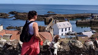 Spaniel Cam PT1 - Finn's trip to the beach - Coldingham & St Abbs by Finn the Spaniel  12 views 9 months ago 16 minutes