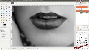 TUTORIAL GIMP 2.8 : BLACK N WHITE  EFFECT USING GIMP