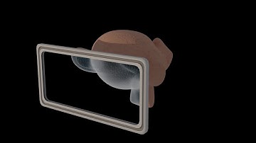 Xray Effect - Blender Fully Procedural