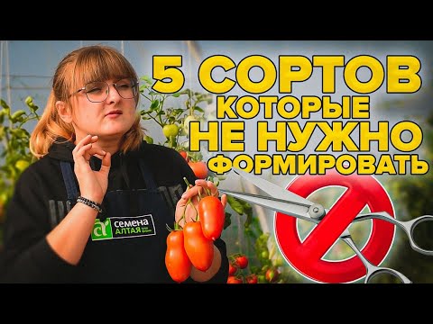 Видео: Кто такая вьерн в хвосте феи?