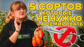 ТОМАТЫ БЕЗ ХЛОПОТ! ИХ НЕ НУЖНО ФОРМИРОВАТЬ! ТОП-5 ПОМИДОРОВ ДЛЯ 2022