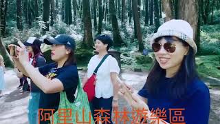 香港遊客台灣中部五日遊(3)阿里山日月潭。20190805。