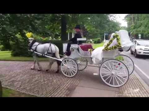 How to make a grand exit after your wedding! Horse Drawn Carriage - Victorian Carriage 91