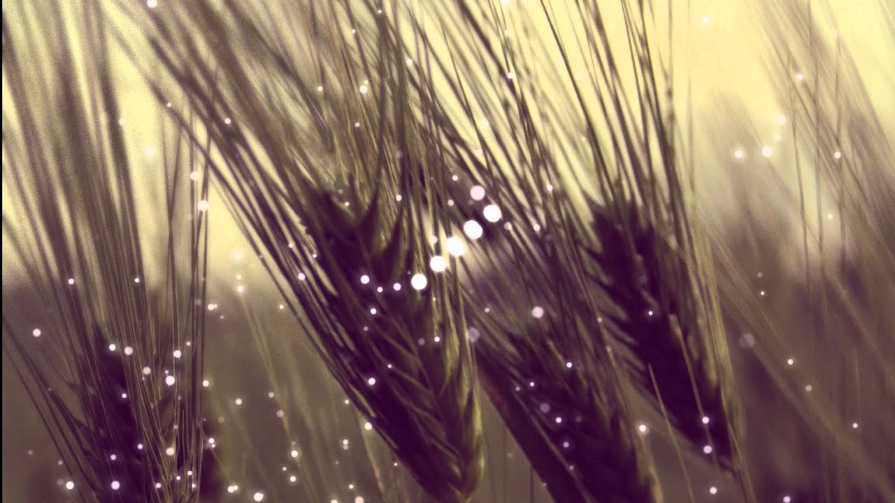 bass boost 設定 Part Native - Inola [Bass Boosted]