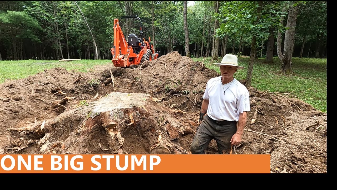 148 - Stump Removal with my Kubota BH77 Backhoe