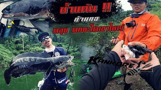 ลองเหยื่อใหม่ ก่อนใคร!! ลุยพายุ ซ้ำแค้น ชะโดเขาใหญ่ Ft.พี่ตุ้ม TSF+  | Kayak Fishing