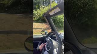 Car Driver Stops to Allow a Mother Bear and Her Cub to Cross the Road