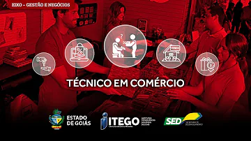 Onde um técnico em comércio pode trabalhar?
