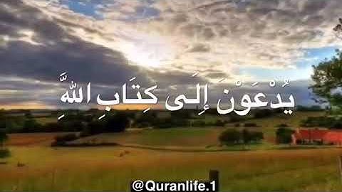 تلاوة خاشعة و باكيه بصوت القارىء نايف الفيصل | سورة آل عمران