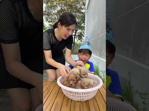 Birthday surprise for cute baby 😘😅😅  Thoc TV