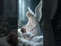 Oração da Noite Poderosa para Dormir em Paz, Receber Proteção e Renovar as Forças #oração #esperança
