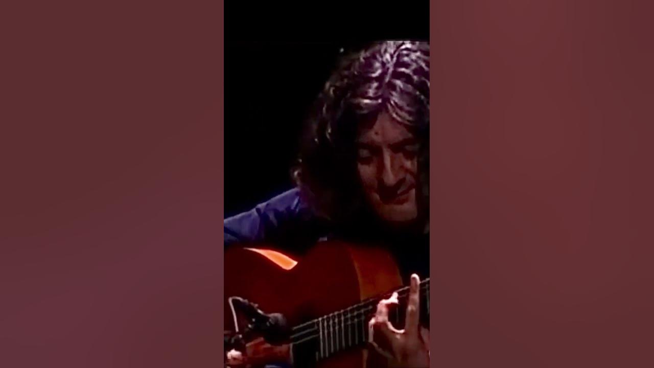 Moraito Chico ❤️ Rocayisa #parati #flamenco #musica #boda #gitano #jerez #top