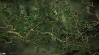 Famous VFX Arabia's thinkingParticles 6 spline for Ivy and shoots Wealth
