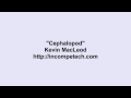 Kevin MacLeod ~ Cephalopod