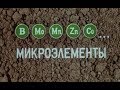 Микроэлементы и симптомы недостатка у растений