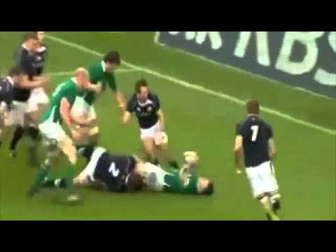 Tribute to Irish rugby