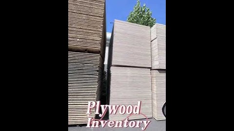 Large inventory for particle board and Plywood board and OSB board and MDF board.