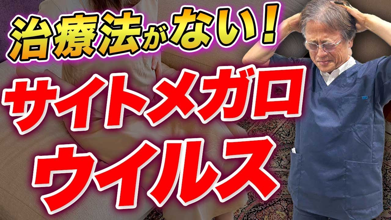 難聴・脳への影響【サイトメガロウイルス】妊娠中の感染を防ぐ方法を医師が解説！