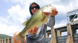 Bass fishing wheeler lake below Guntersville dam