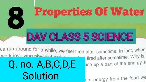 Properties Of Water DAV Class 5 Science Chapter 8 Question Answer||ADARSH 999