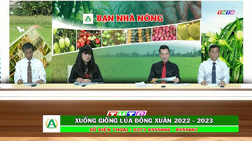 Bạn Nhà Nông ► Xuống Giống Lúa Đông Xuân 2022 - 2023