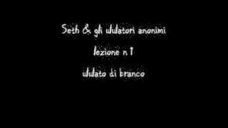 Seth Ululato Corale Con Oli - Cane Lupo Cecoslovacco