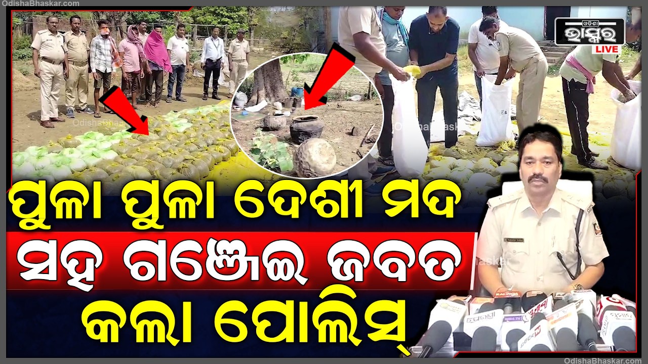 ଘନ ଜଙ୍ଗଲ ମଧ୍ୟରେ ଚାଲିଥିଲା ଦେଶୀ ମଦ ସହ  ସହିତ ଗଞ୍ଜେଇ କାରବାର, ଖବର ପାଇ ମାଡିବସିଲା ପୋଲିସ୍