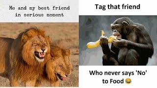 Best Friend Memes 😂😂 Happy Birthday Memes 😂😂 Funny Memes 😂😂 Memes that only legends will find funny