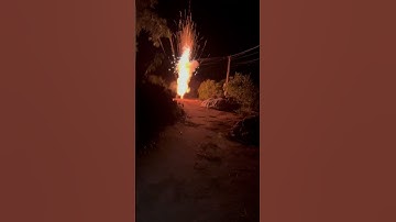 4 inch display shell – variegated peony with white strobe pistil #fireworks #pyro