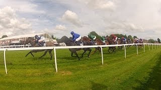 2014 Epsom Derby Walkabout by VeeDubRacing