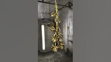 Золотая Роза