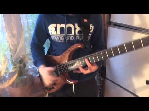 Susin Denis -Modulus Quantum 5 Bass demo