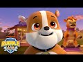 Rubble Does Yoga With the Crew &amp; Farm Animals! | Rubble &amp; Crew