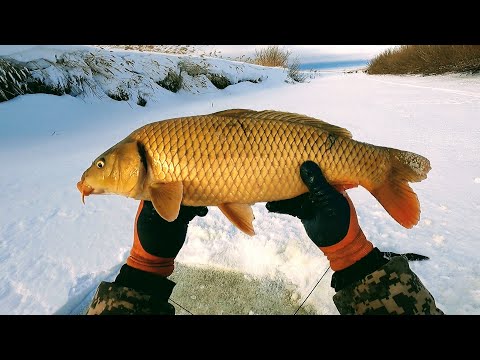 Видео: Тугны шон ямар хэсгүүд вэ?