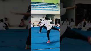 Changquan speed training 💥🌷#foryou #viral #shorts #wushu #kungfu