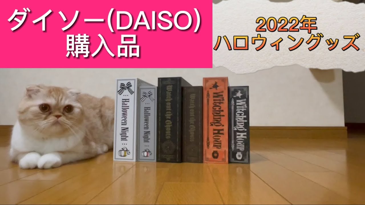 「こむすめの購入品」 ダイソー(DAISO) 2022年 ハロウィングッズ - YouTube